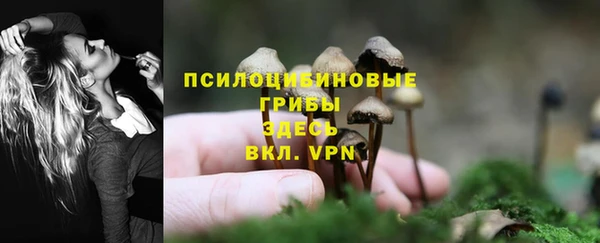 мяу мяу кристалл Арсеньев