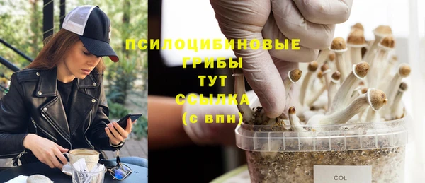 a pvp Аркадак