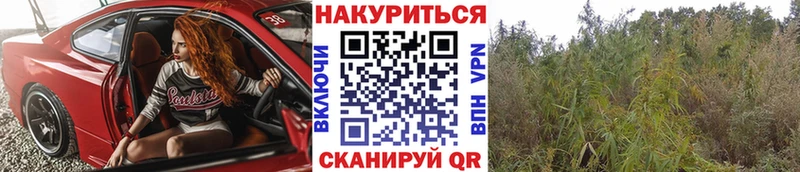 Бошки Шишки THC 21%  магазин  наркотиков  Балахна 